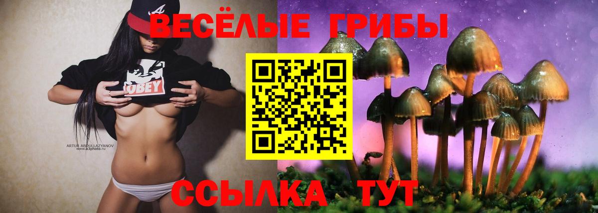 Псилоцибиновые грибы MAGIC MUSHROOMS Новоалександровск